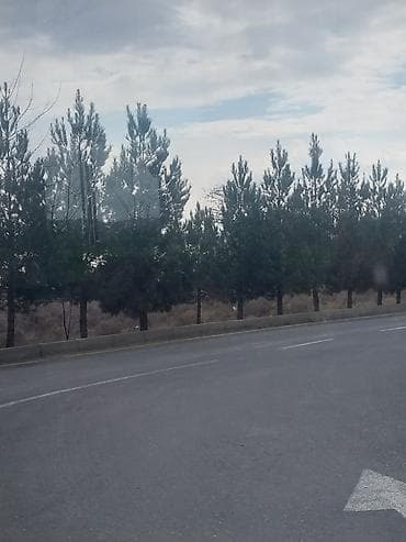 Yasayıs massivinde erazi temizliyin yasıllıq abadlıgın mezaretde