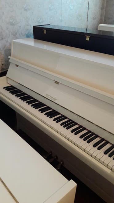 terlan elekberov: Pianino PETROF cexya stehsalı. Ideal vəziyyədə. Cadırılma və — 3