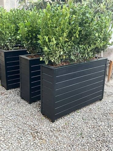 dekorativ otaq bitkiləri: Bu taxda dipçekin ölçusu 100x30x55 Bu standart alinan ölçudur — 10