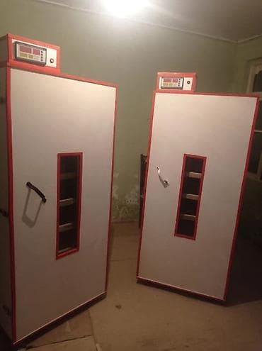 İnkubator 1000 yumurtalıq zakasla yigilir çıxış faizi 85-90 fayizi