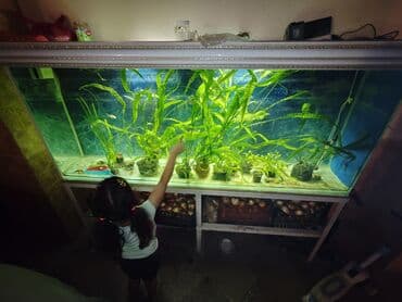 bmw 1 серия 114i mt: Вместе с рыбами, 780 л, Самовывоз — 3