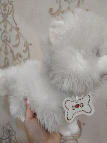 работа в сша для азербайджанцев: Yeni — 2