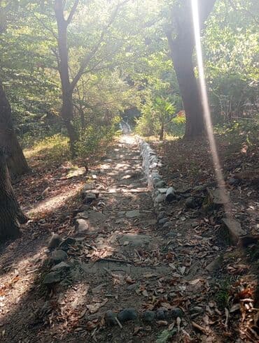 kirayə aylıq: 3000 kv. m, 3 otaqlı — 9