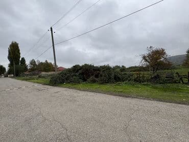 qalmaq serti ile: 43 sot, Kənd təsərrüfatı, Mülkiyyətçi, Kupça (Çıxarış) — 12