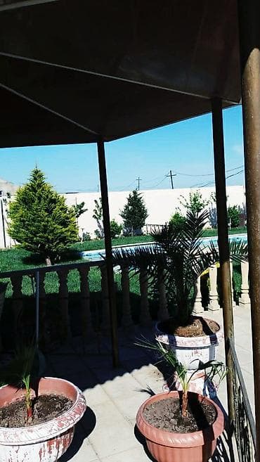 sekide ev: 6 otaqlı, 210 kv. m, Kredit yoxdur, Yeni təmirli — 5