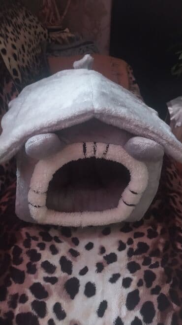 baku pişik satis: Pişiklər — 1