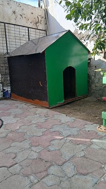 it yuvalari: Böyük ölçülü it evi - Material: möhkəm taxta karkas, üstü — 4