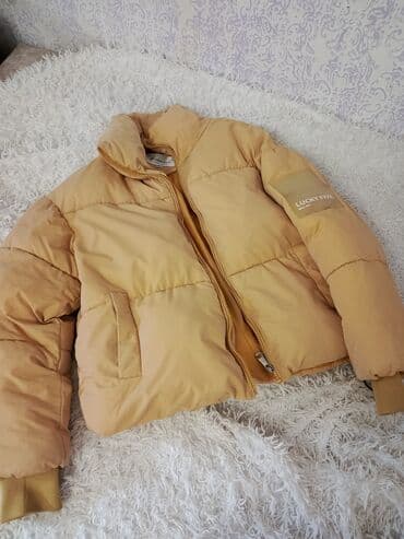 fosfor kurtka: Kurtkalar — 1