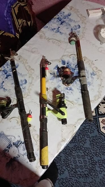 Велосипеды: Balıqçılıq çubuqları və avadanlıq dəsti - 3 ədəd teleskopik — 2