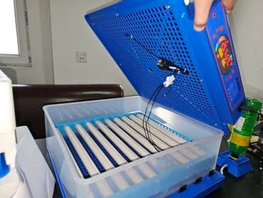 qirqovul satilir: Inkubator inkubatorlarin birinci əl satişi unversal inkubator 120 — 5