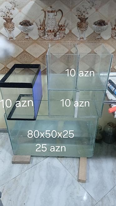 akvarium bitkileri: Akvarium şüşə qabları və balıq yetişdirmə üçün modul akvariumlar - — 1
