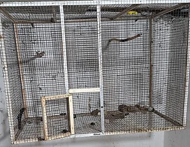 qara it sekilleri: Quş qəfəsləri və volyerlər dəsti - Böyük metal volyer: möhkəm məftil — 1