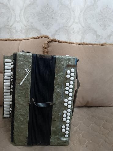 akustik gitara: Akustik Akkordeon — 1