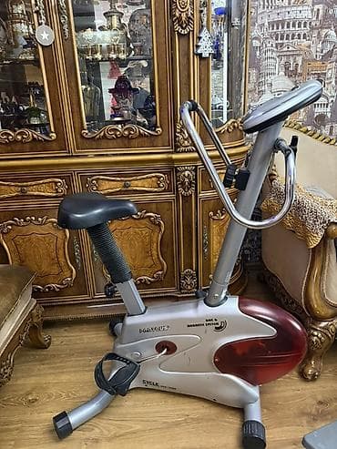 İdman və istirahət: Maqnitik sistemli velotrenajor – Proteus - Brend/model: PROTEUS — 1