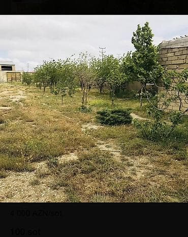 şəmkirdə torpaq: Biznes üçün — 5