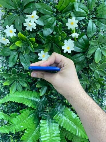 samsung a55 kontakt home: Samsung Galaxy A03, 64 GB, rəng - Göy, Zəmanət — 5