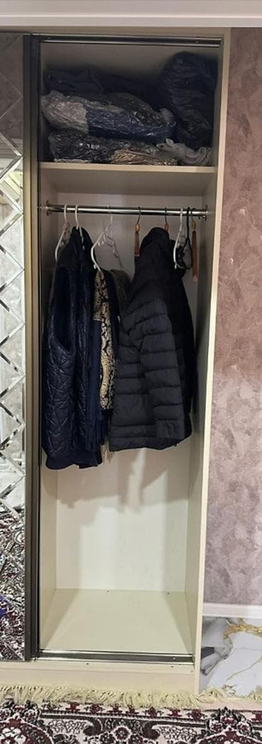 dehliz skaflari: 2 qapılı, Güzgülü, Bej, Digər material, Kupe, Düz dolab — 2