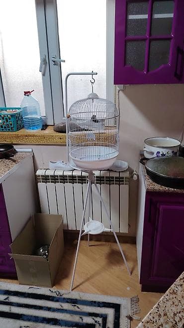 quş üçün qəfəs: Ağ rəngli quş qəfəsi və dayaqlı asqı komplekti. - Dairəvi formalı — 1