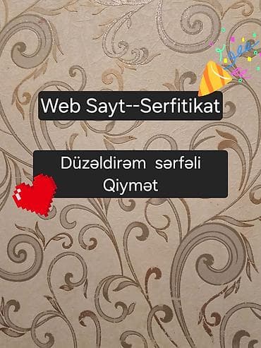 printer epson l3100: Veb saytların hazırlanması — 1