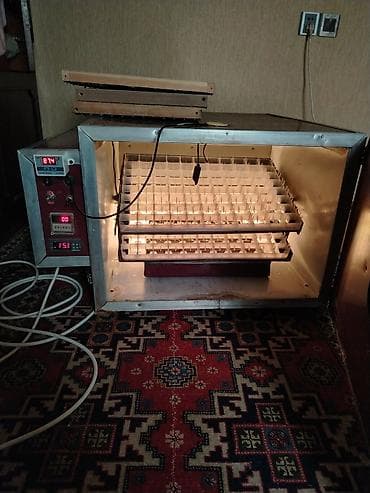 Moyka avadanlığı: Salam aleykum. 176 ədəd toyuq yumurtası tutur. Avtomatikdir. Beyni — 3