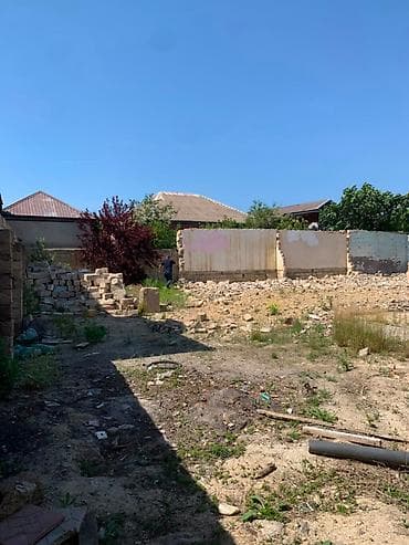 mida satis: 5 sot, Tikinti, Kupça (Çıxarış) — 6