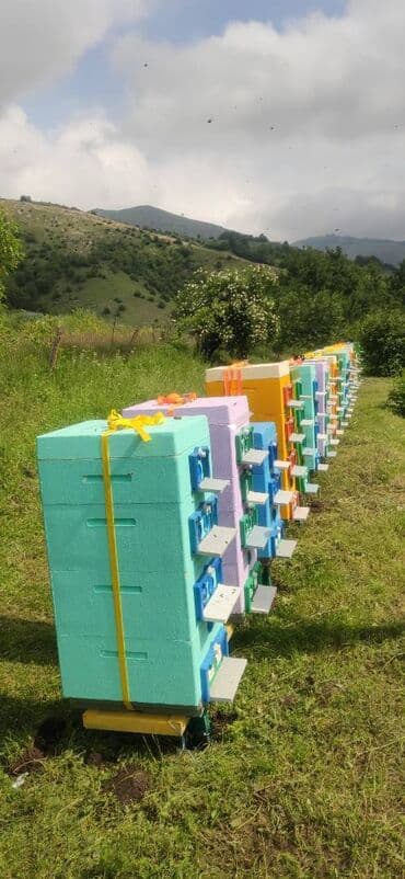 продается мед: ELF BEE'S 1977 ECO-PRODUCT FOR HEALTH AND LONGEVITY Tovuzun — 16