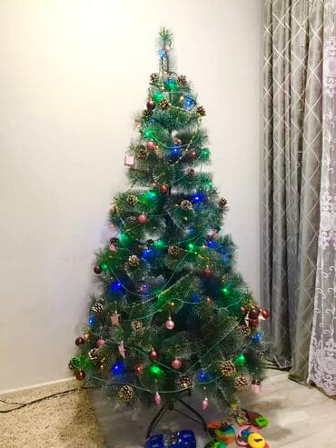 böyük yolka: Yolka 180 sm teze — 1