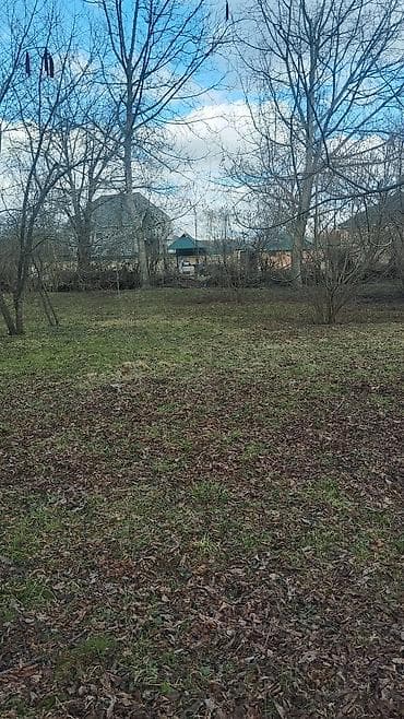 yasil dere torpaq: 10 sot, Tikinti, Maklerlər narahat etməsin, Kupça (Çıxarış) — 7