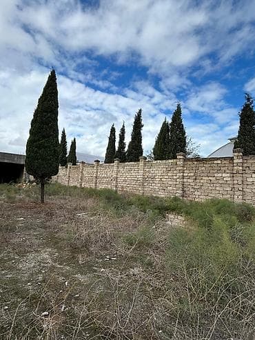 zirede torpaq: 24 sot, Tikinti, Mülkiyyətçi, Kupça (Çıxarış) — 6