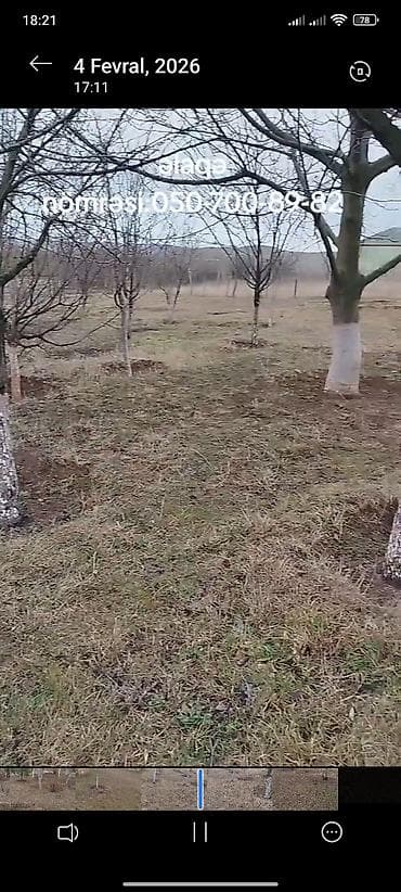 bağ evleri: Pirəkəşkül, 100 kv. m, 2 otaqlı, Hovuzsuz, Qaz — 1