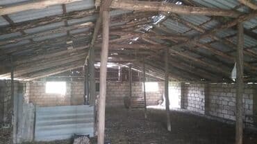 Otaqlar: 80 sot, Mülkiyyətçi — 1