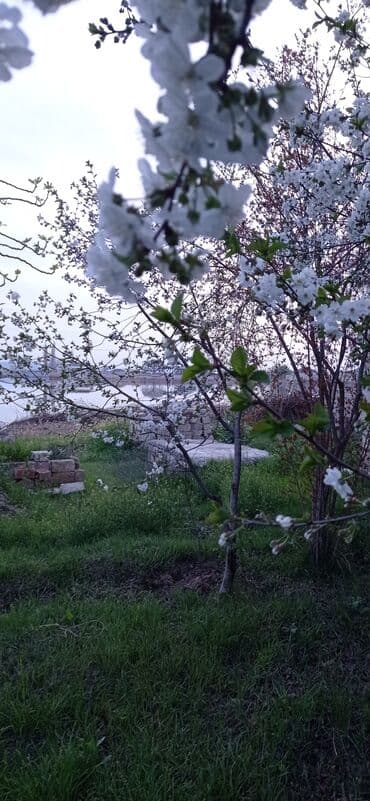 agdas ev: 9 sot, Tikinti, Mülkiyyətçi, Kupça (Çıxarış) — 24