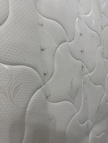 кушетка для массажа: Б/у, Ортопедический матрас, Двуспальное — 5