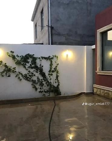 sultan emlak: 3 sot, Kupça (Çıxarış) — 7