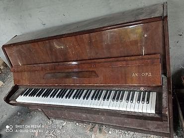 piano satilir: Пианино, Akkord, Акустический — 2