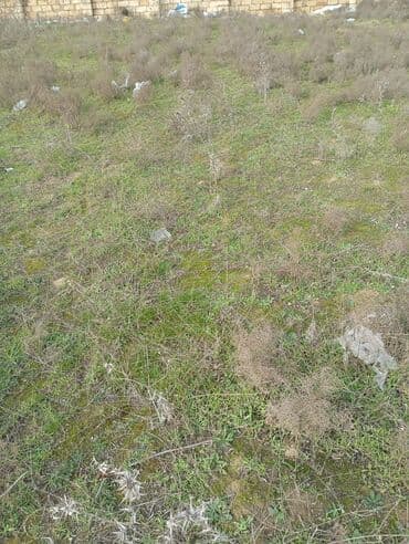 huseynbala eliyev kucesi: Tikinti — 2