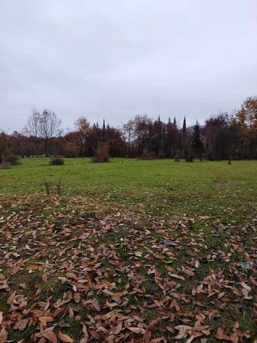 аренда земельных участков сельскохозяйственного назначения: Kənd təsərrüfatı — 10