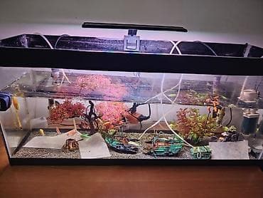 yumru akvariumlar: Akvaryum komplekti – geniş ölçülü 85 uzun hündür 35 en 30 akvarium — 2