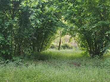 участок в деревне: 30 соток, Для сельского хозяйства — 1