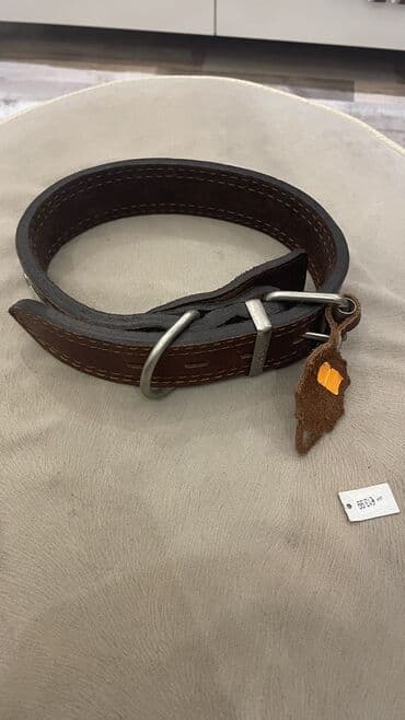 itler ucun xaltalar: İt xaltası yenidi heç taxılmayıb bahalı xaltadı maraqlanan bilən bilər — 3