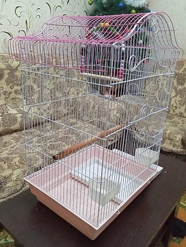 Heyvanlar üçün mallar: Salam. Tep teze iri kletka satiram. Curuyu,eziyi pasi yoxdur — 2
