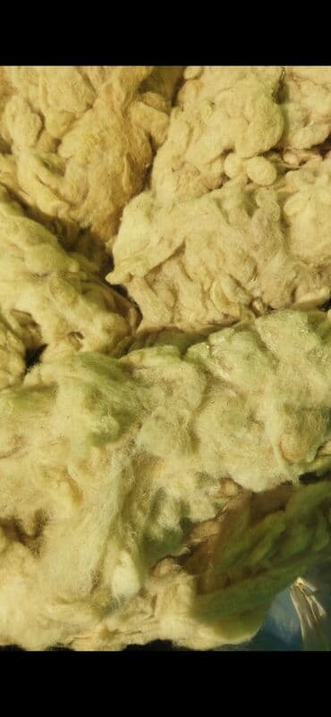 yun destler: 30 kq — 1