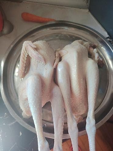 qasqaldaq eti: Kənd toyuğu Toyuq Bütöv — 2