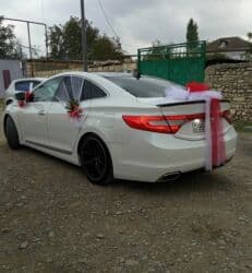 yan güzgülər s: Hyundai Grandeur: 2.2 l | 2015 il Sedan — 17