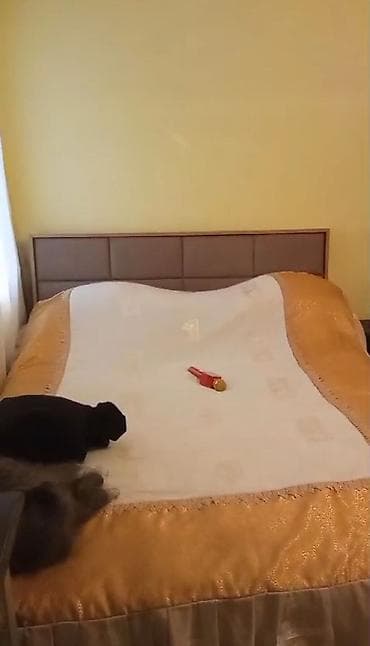 kiralik ev az: Kirayə mənzil – 2 otaqlı, mətbəx-koridorlu plan. Makler Haqqı — 6