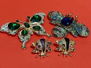 Бижутерия: Böcək temalı bəzək broş dəsti - Dəst tərkibi: 4 ədəd broş - 1 ədəd — 2