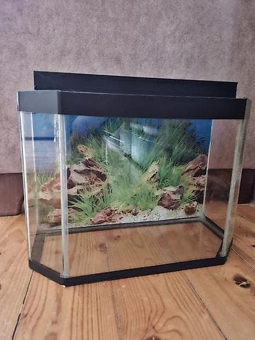 sobo wp 6001: Akvaryum – panoramik dizaynlı, şüşə korpuslu - Ön hissəsi — 2