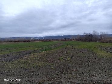 Гаражи: 200 соток, Для сельского хозяйства, Техпаспорт — 7