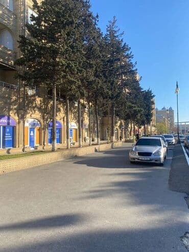 sarayda kiraye: Gənclik metrosunun yaxınlığında Yeni tikili 5 mertebeli binanın 4-cü — 15