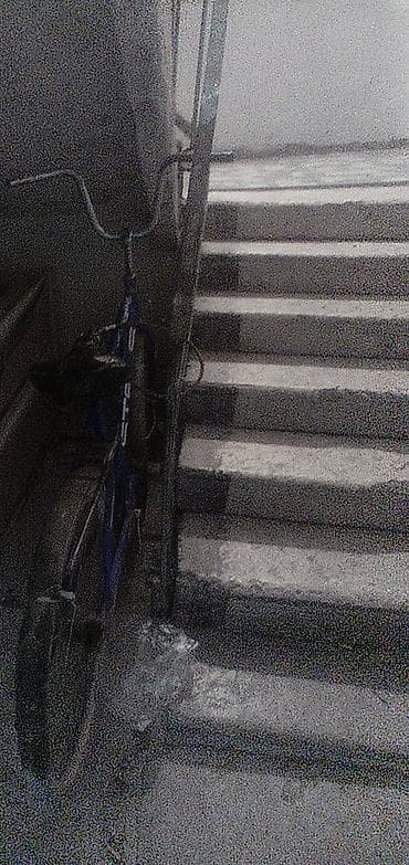 velosiped 29: Şəhər velosipedi 26", sürətlərin sayı: 1 — 2